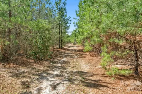 931 Charlie Johnson Road Kershaw SC 29067