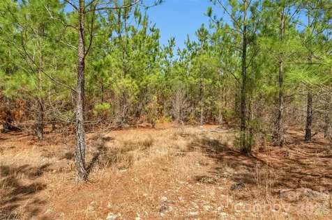 931 Charlie Johnson Road Kershaw SC 29067