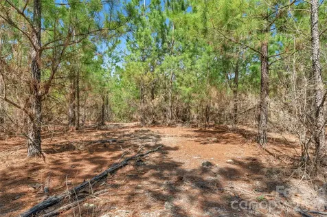 931 Charlie Johnson Road Kershaw SC 29067