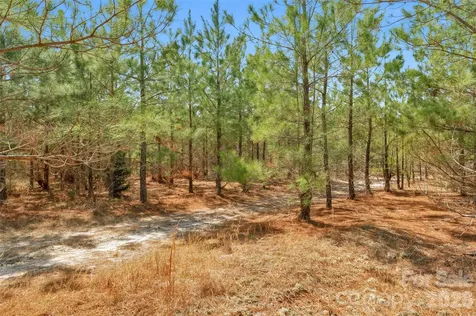 931 Charlie Johnson Road Kershaw SC 29067