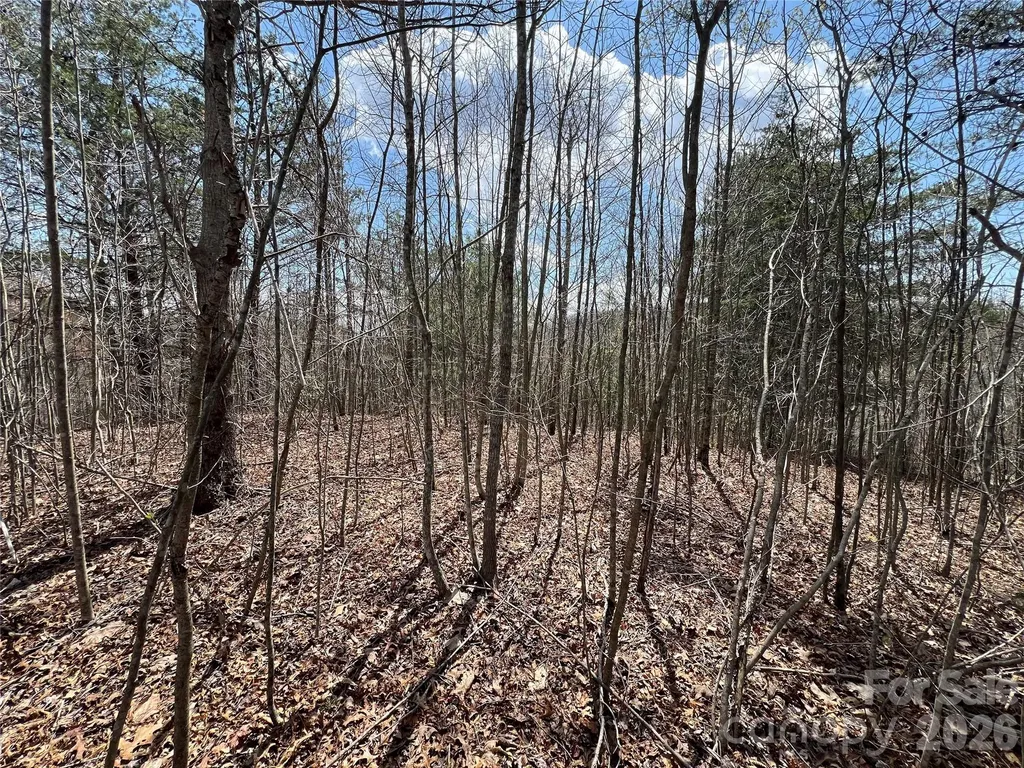 192 Pine Cone Trail Marshall NC 28753
