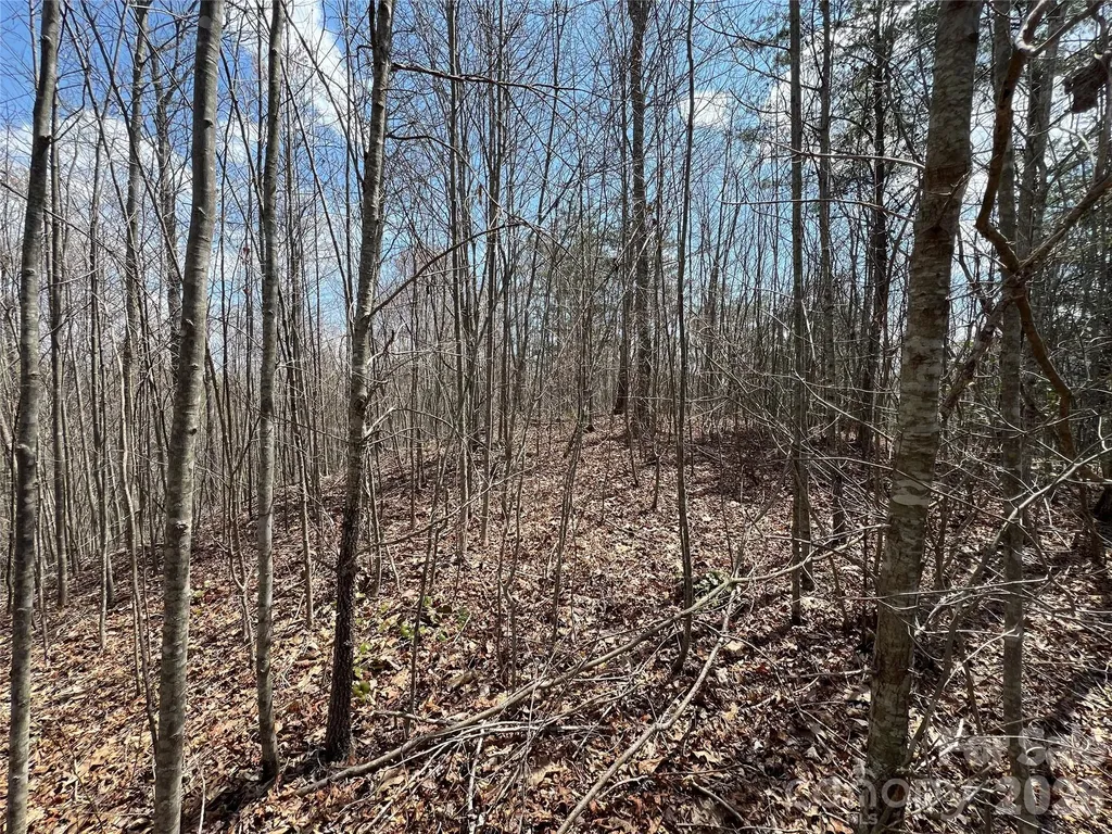 192 Pine Cone Trail Marshall NC 28753