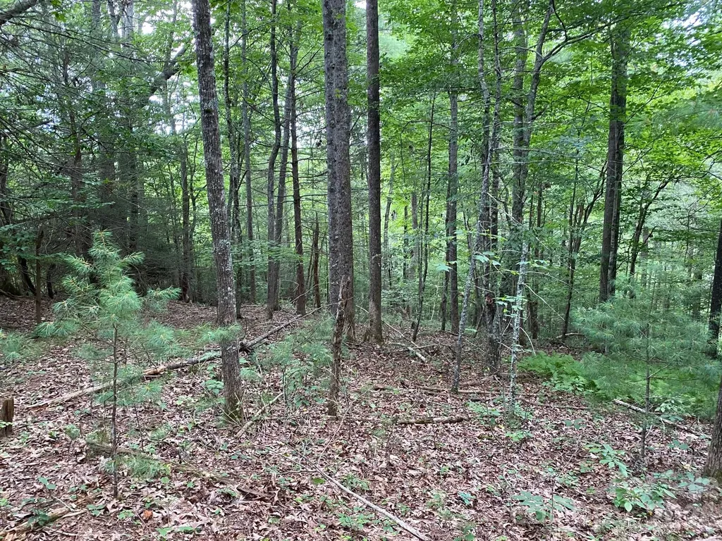 192 Pine Cone Trail Marshall NC 28753