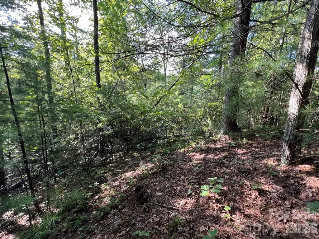 192 Pine Cone Trail Marshall NC 28753