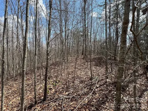 192 Pine Cone Trail Marshall NC 28753