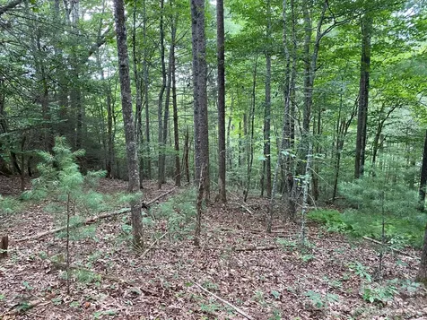 192 Pine Cone Trail Marshall NC 28753
