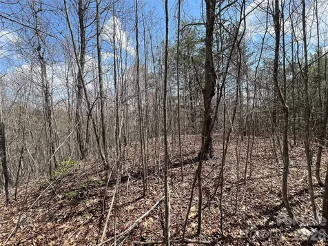 192 Pine Cone Trail Marshall NC 28753