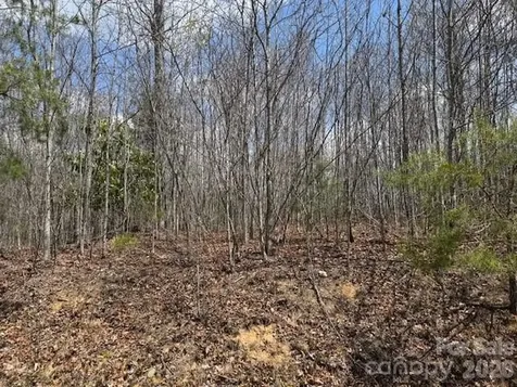 192 Pine Cone Trail Marshall NC 28753