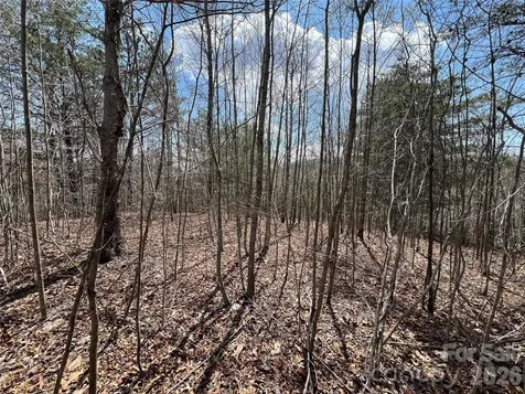192 Pine Cone Trail Marshall NC 28753