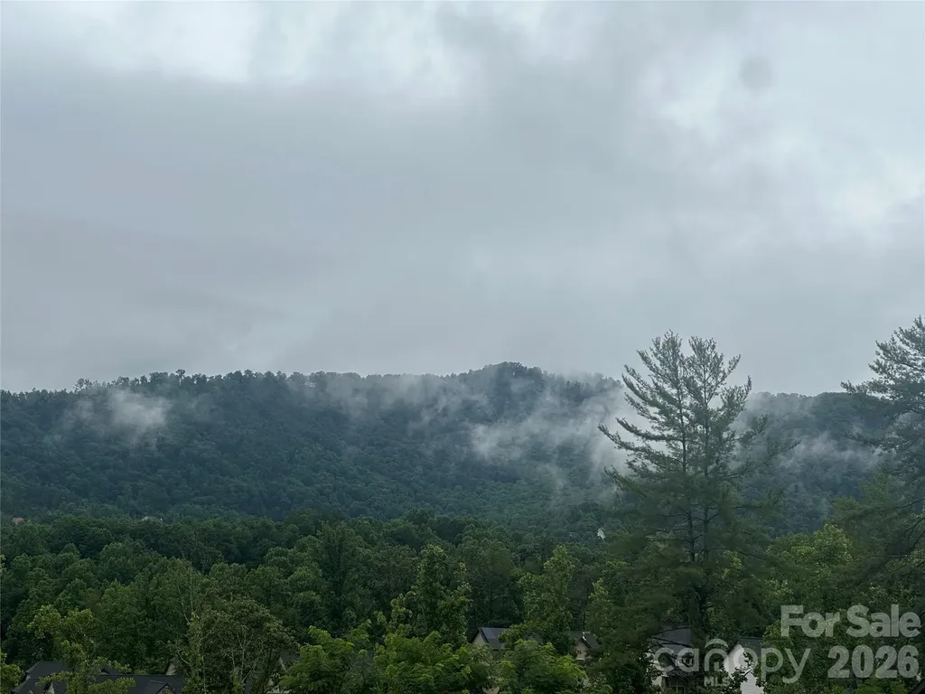 115 Water Leaf Drive Weaverville NC 28787