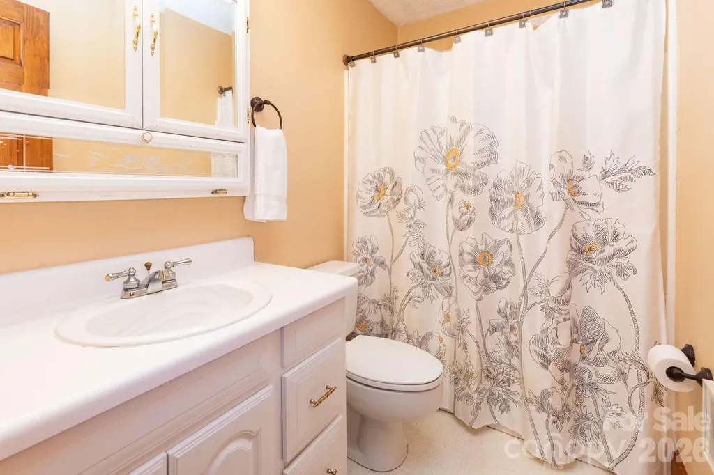 168 Blossom Ridge Leicester NC 28748