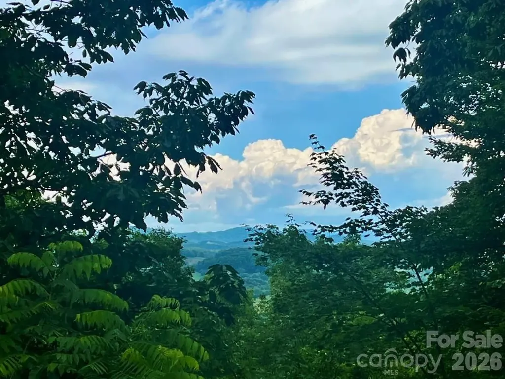 168 Blossom Ridge Leicester NC 28748