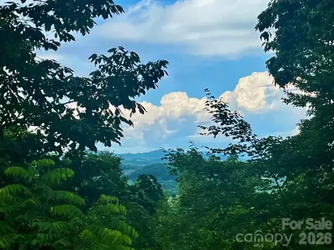168 Blossom Ridge Leicester NC 28748
