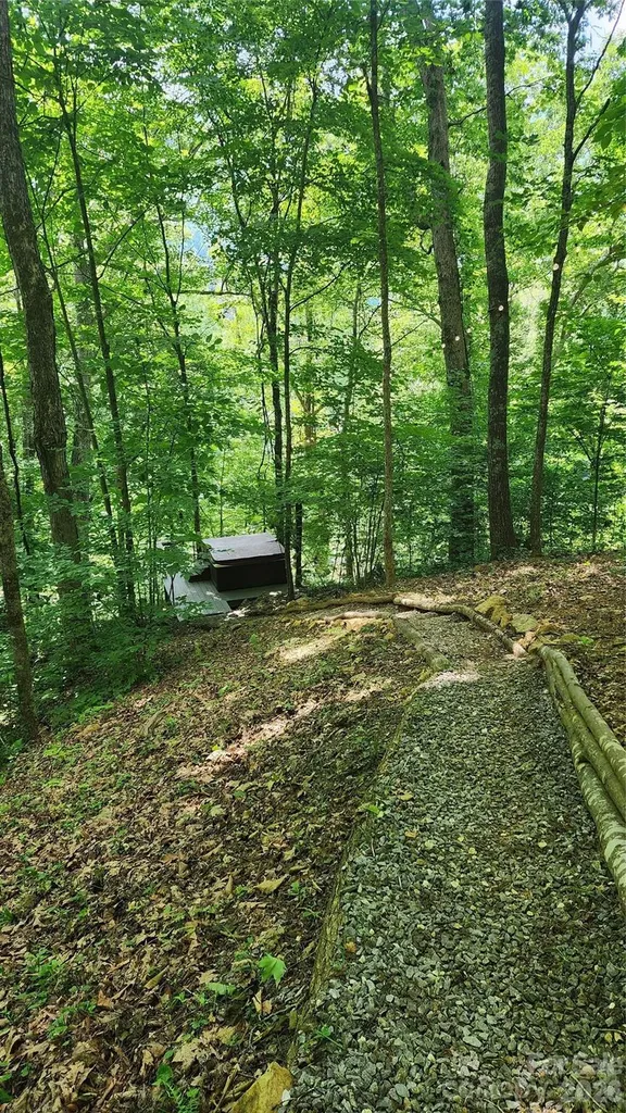 1458 Riverview Road Burnsville NC 28714