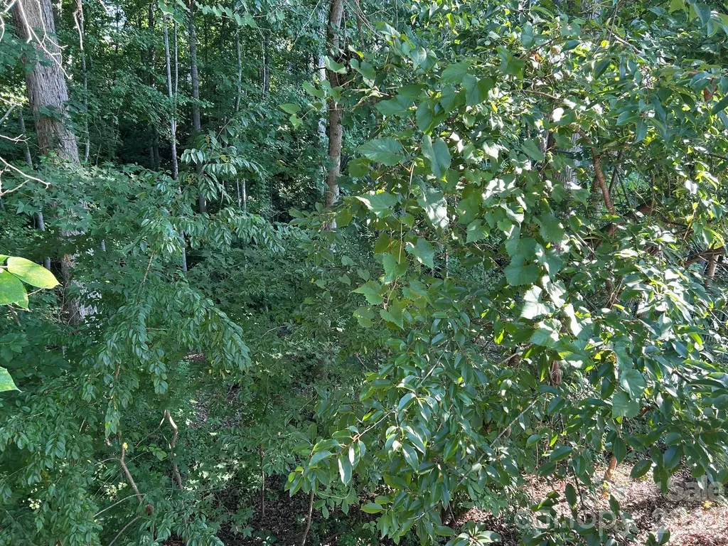 127 Wood Acre Drive Mooresville NC 28115