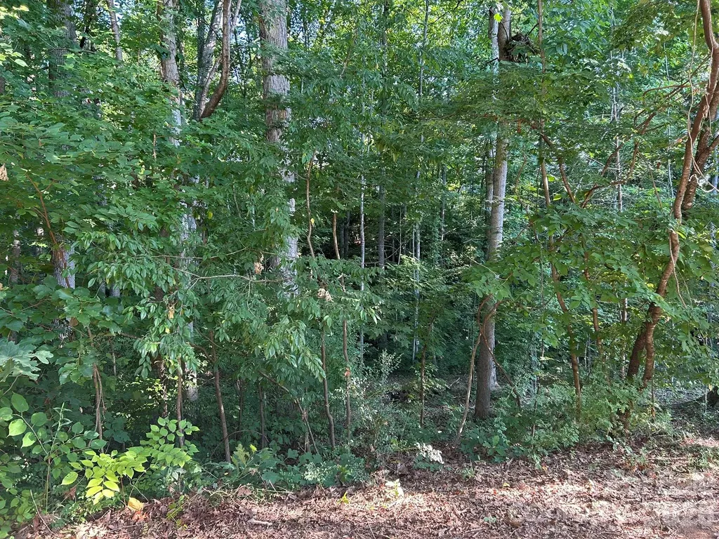 127 Wood Acre Drive Mooresville NC 28115