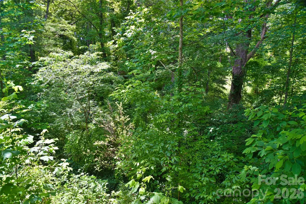 115 Wicklow Drive Asheville NC 28806
