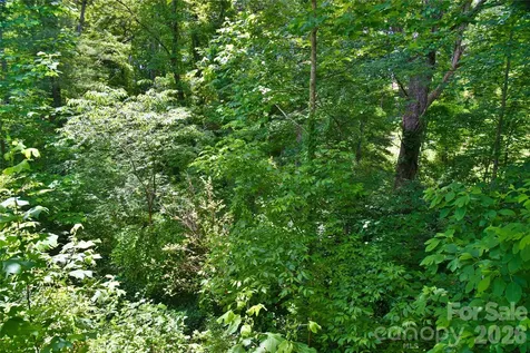 115 Wicklow Drive Asheville NC 28806