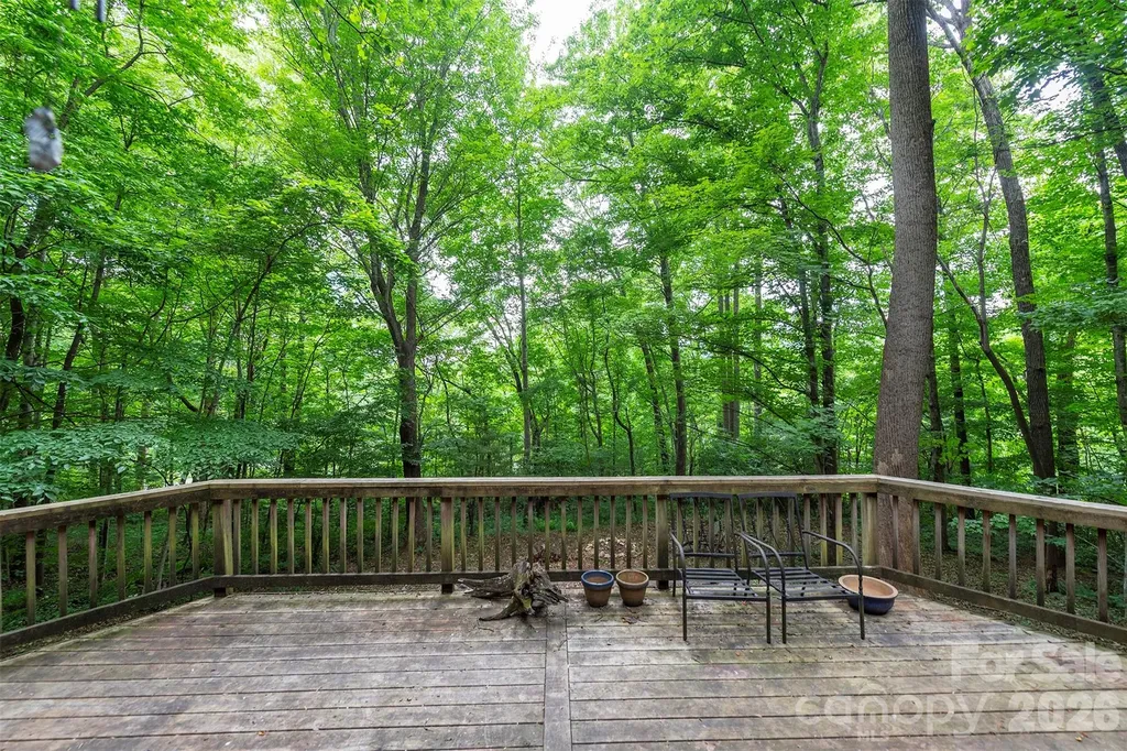 23 Hunting Lodge Drive Black Mountain NC 28711