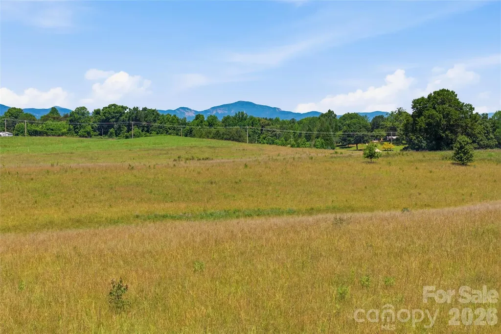 Lot 3 High Meadows Drive Mill Spring NC 28756