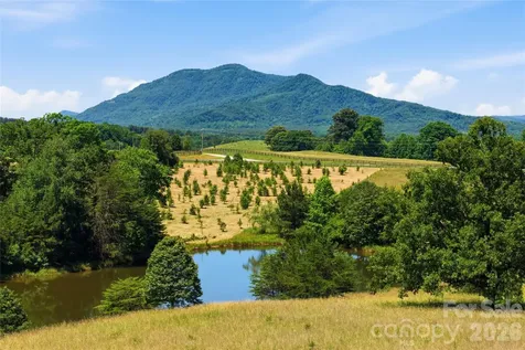 Lot 3 High Meadows Drive Mill Spring NC 28756