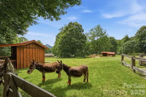 248 Brannon Forest Drive Waynesville NC 28785