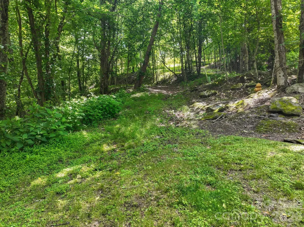 9999 Glen Eagles Lane Mills River NC 28759