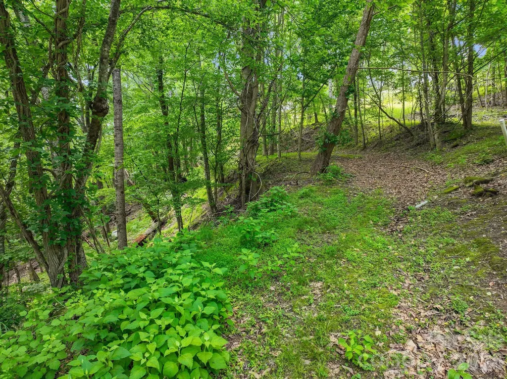 9999 Glen Eagles Lane Mills River NC 28759