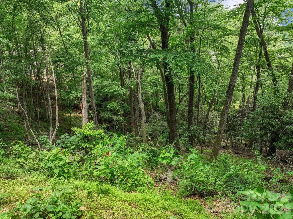 9999 Glen Eagles Lane Mills River NC 28759