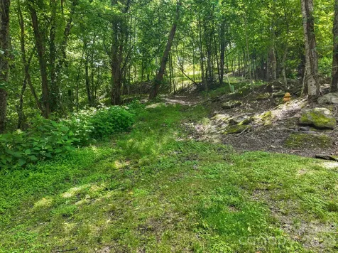 9999 Glen Eagles Lane Mills River NC 28759
