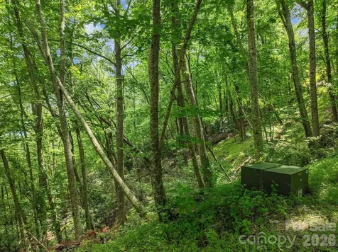 9999 Glen Eagles Lane Mills River NC 28759