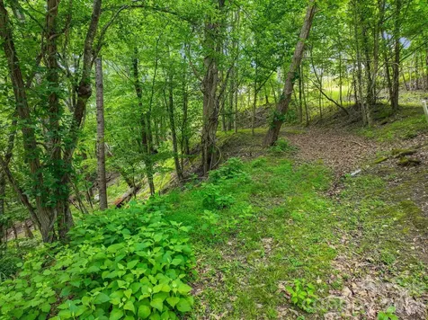 9999 Glen Eagles Lane Mills River NC 28759