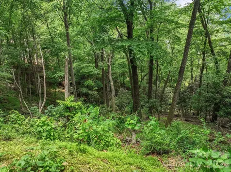 9999 Glen Eagles Lane Mills River NC 28759