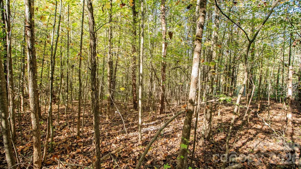 000 Industrial Park Road Lincolnton NC 28092