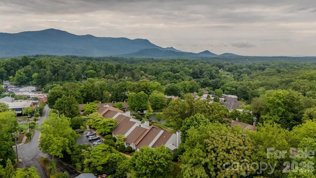 77 Chestnut Street Tryon NC 28782