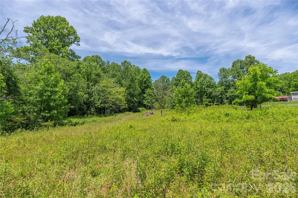 999 Pressley Lane Horse Shoe NC 28742