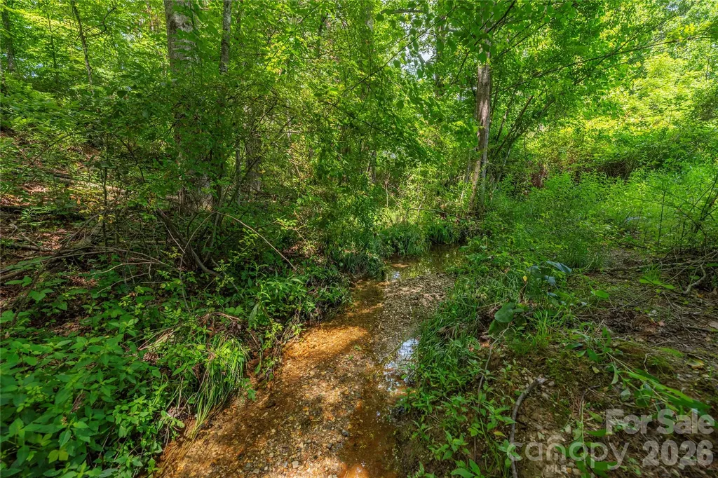 999 Pressley Lane Horse Shoe NC 28742
