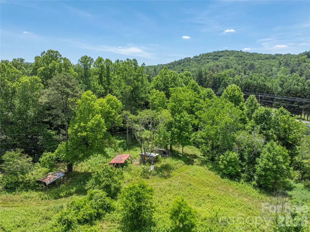 999 Pressley Lane Horse Shoe NC 28742