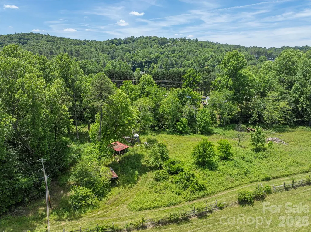 999 Pressley Lane Horse Shoe NC 28742