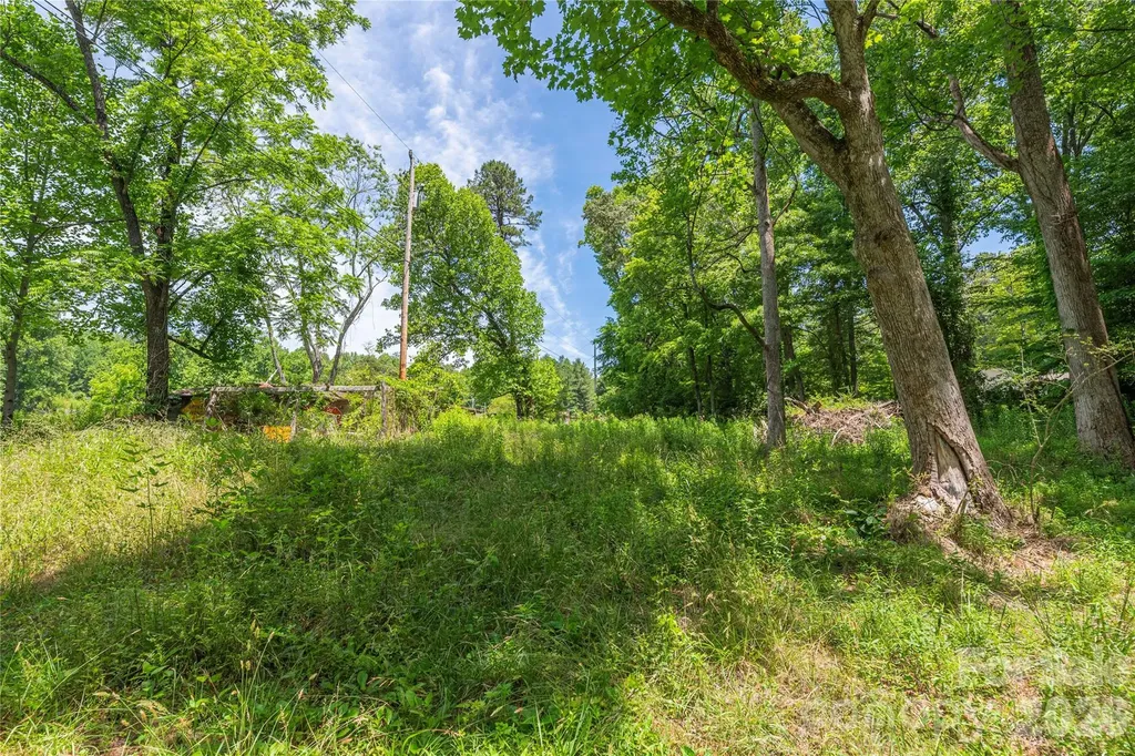 999 Pressley Lane Horse Shoe NC 28742