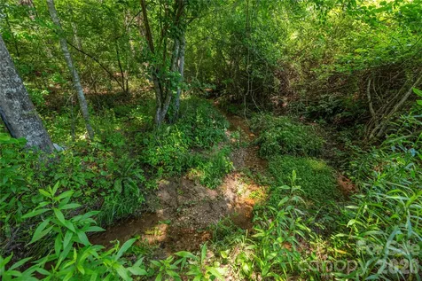 999 Pressley Lane Horse Shoe NC 28742