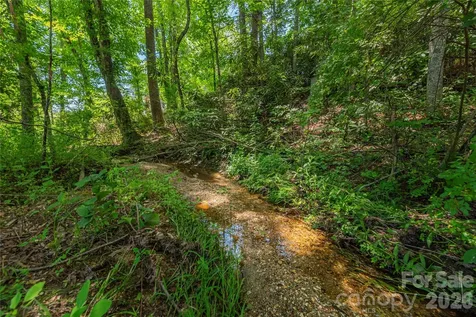999 Pressley Lane Horse Shoe NC 28742