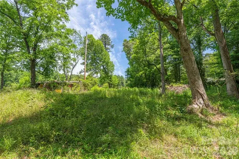 999 Pressley Lane Horse Shoe NC 28742