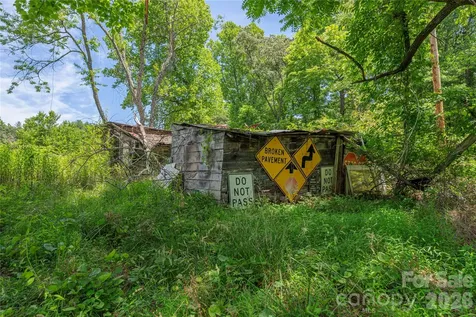999 Pressley Lane Horse Shoe NC 28742