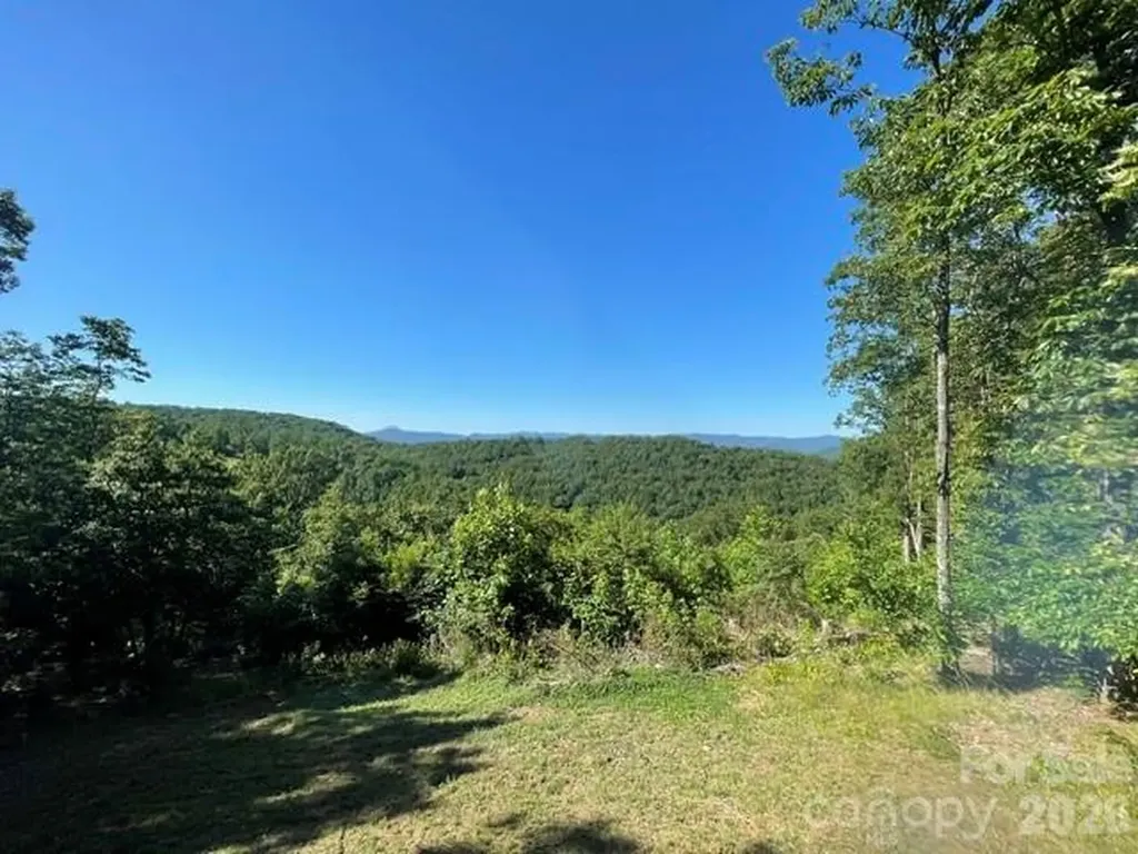 1300 Towery Trace Ellenboro NC 28040