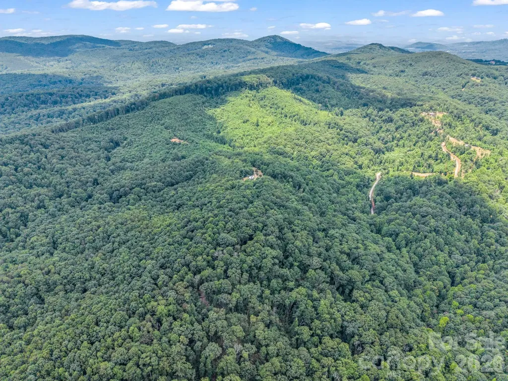 1300 Towery Trace Ellenboro NC 28040