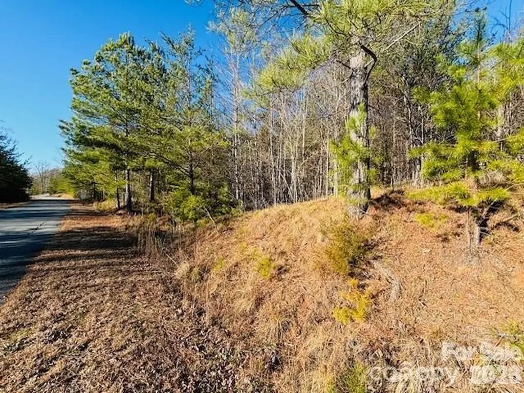0 Cross Creek Drive Rutherfordton NC 28139