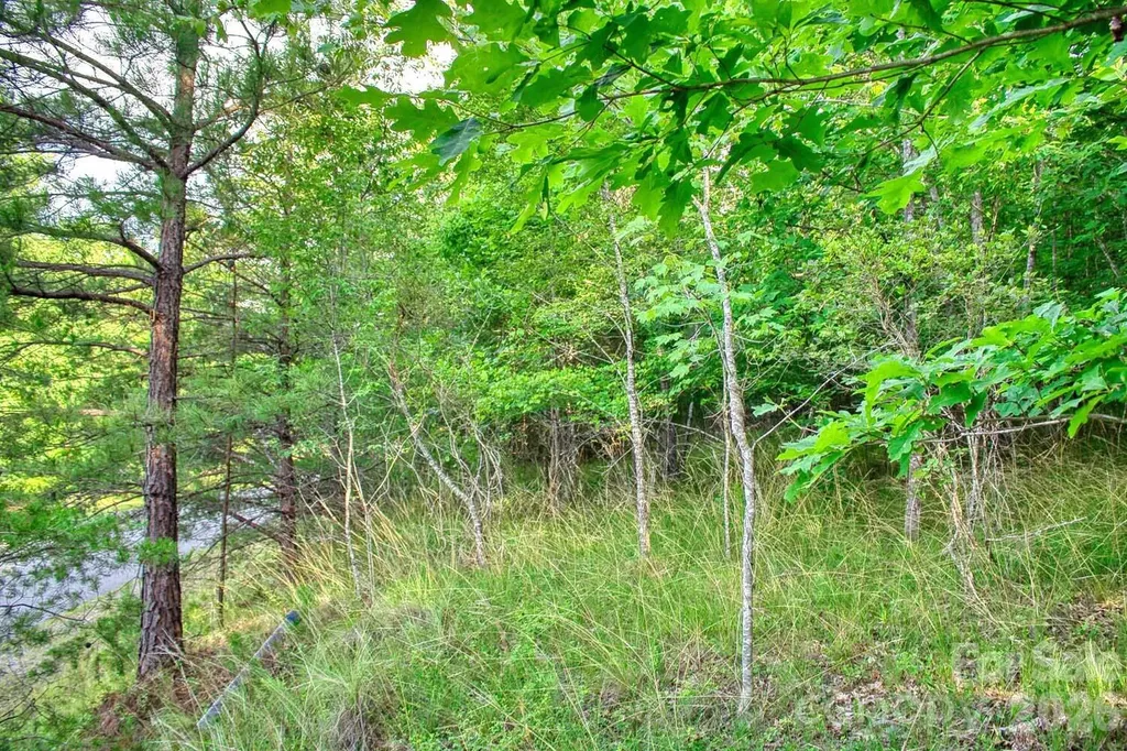 0 Cross Creek Drive Rutherfordton NC 28139