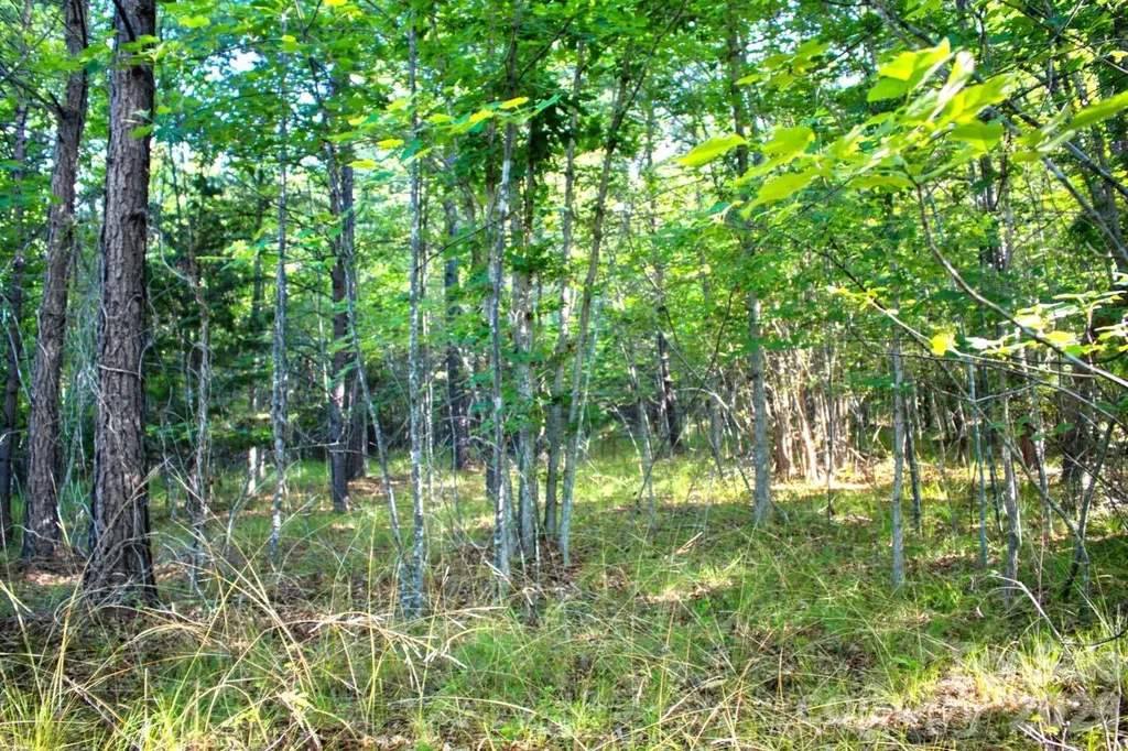 0 Cross Creek Drive Rutherfordton NC 28139