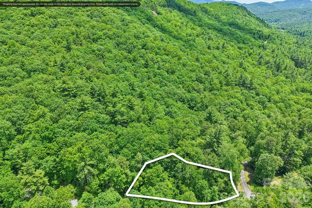 11 Magnolia Branch Drive Zirconia NC 28790
